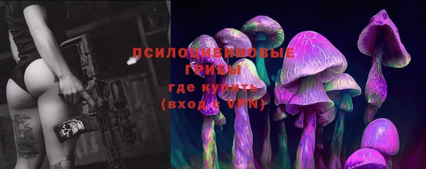 ПСИЛОЦИБИНОВЫЕ ГРИБЫ Магадан
