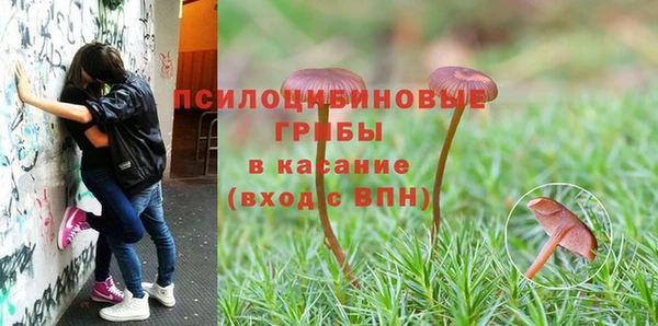 2c-b Аркадак