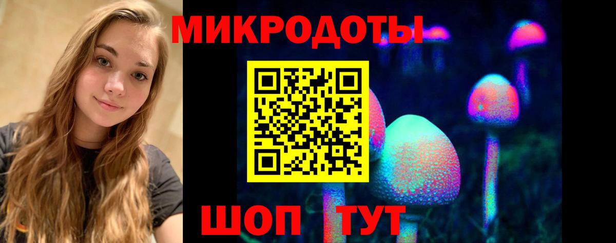 Псилоцибиновые грибы Psilocybine cubensis Новый Уренгой